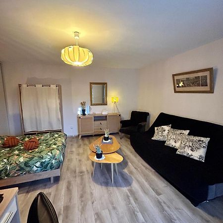 Charmant Studio De 50 M2 Chaumont  Extérieur photo