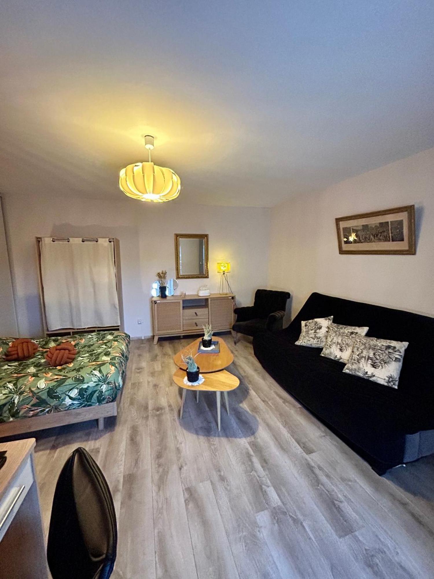 Charmant Studio De 50 M2 Chaumont  Extérieur photo